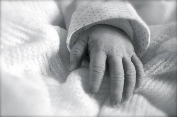 Тело новорождённого ребёнка обнаружили в Шимском районе