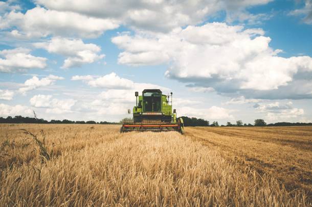 В минсельхозе Новгородской области обсудили сотрудничество с белорусскими производителями сельхозтехники